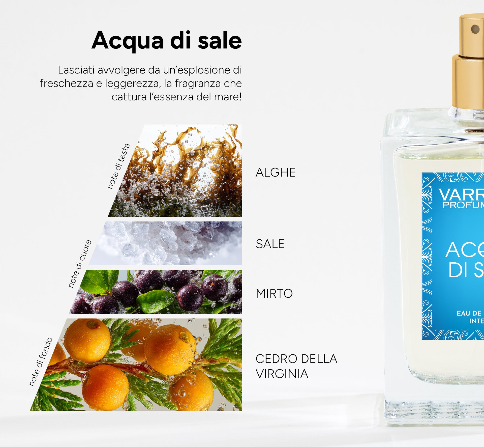 Spannende Acqua Di Sale Ebenbild