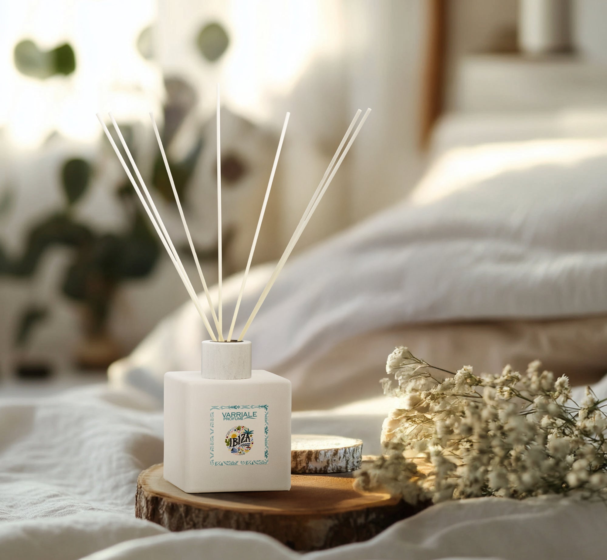 Ricarica Ibiza Ambiente