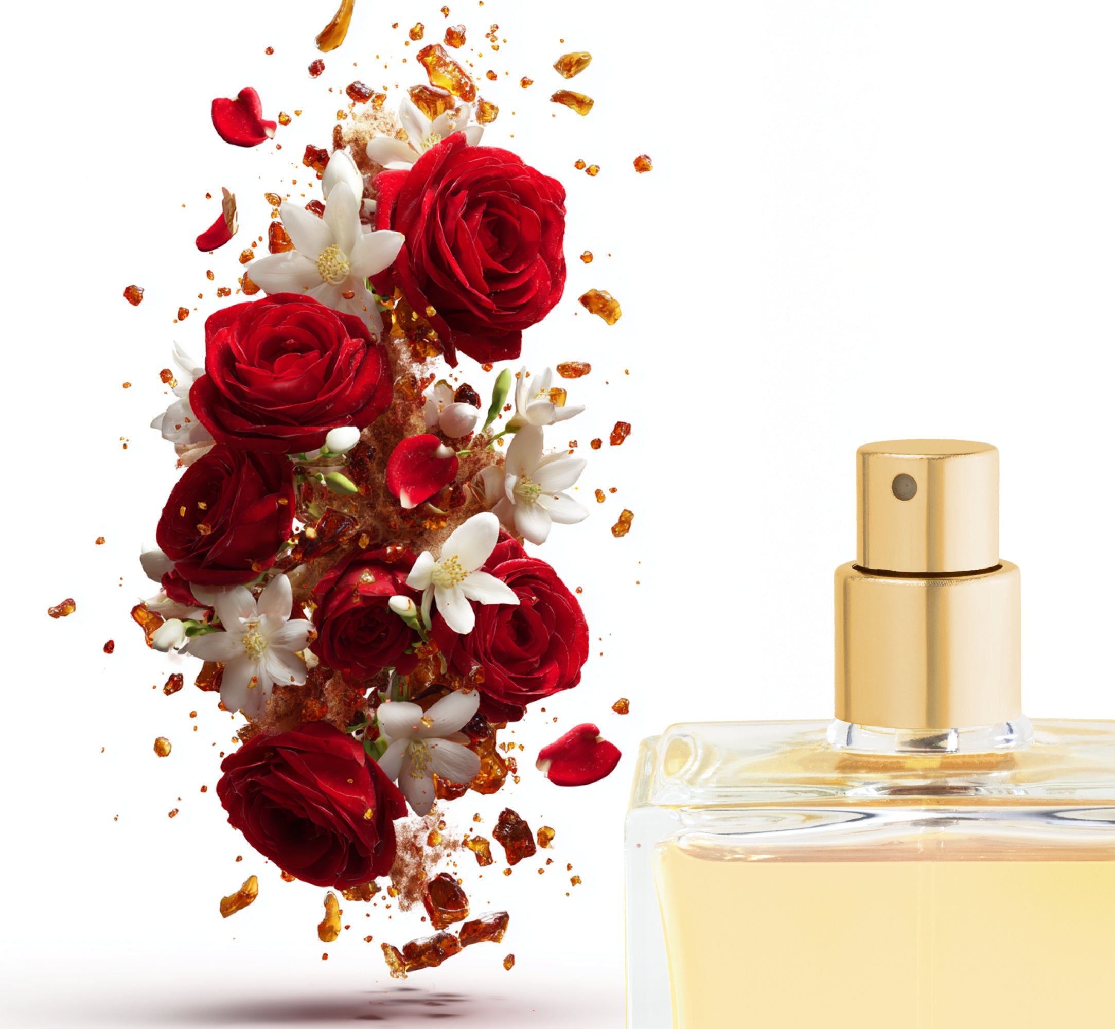Rosas aromáticas